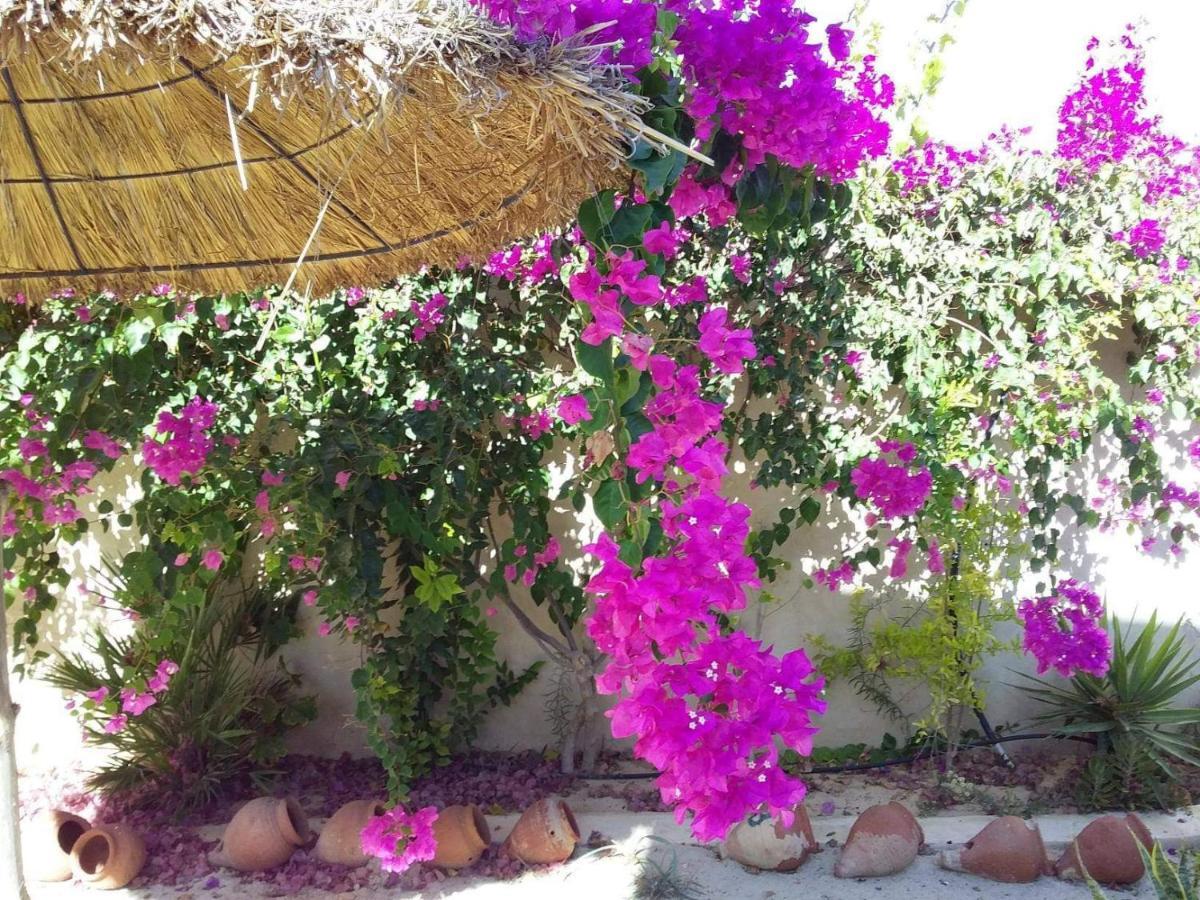 Dar Janis Djerba دار يانيس جربة Apartman Humt Szuk Szoba fotó