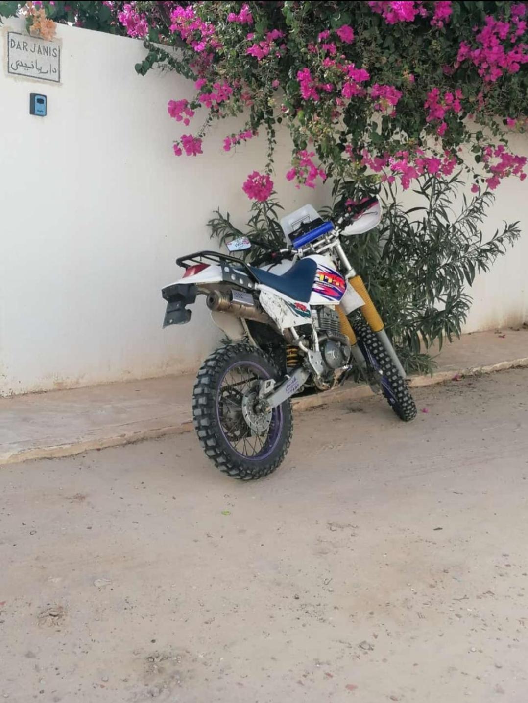 Dar Janis Djerba دار يانيس جربة Apartman Humt Szuk Kültér fotó